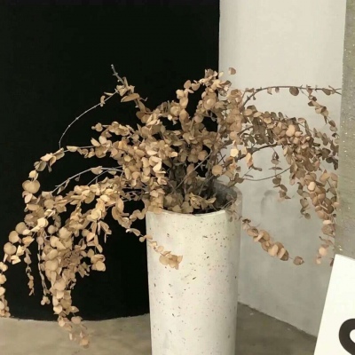 孙吴FurryQQ群介绍